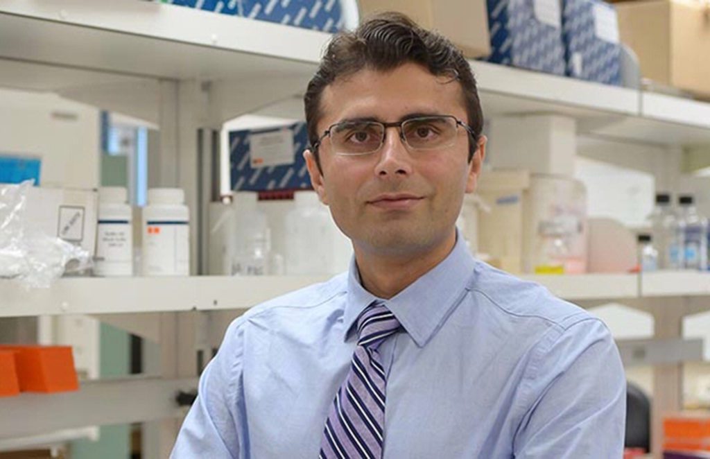 Dr. Pankaj Singh and his research team have discovered a potential new treatment for pancreatic cancer.