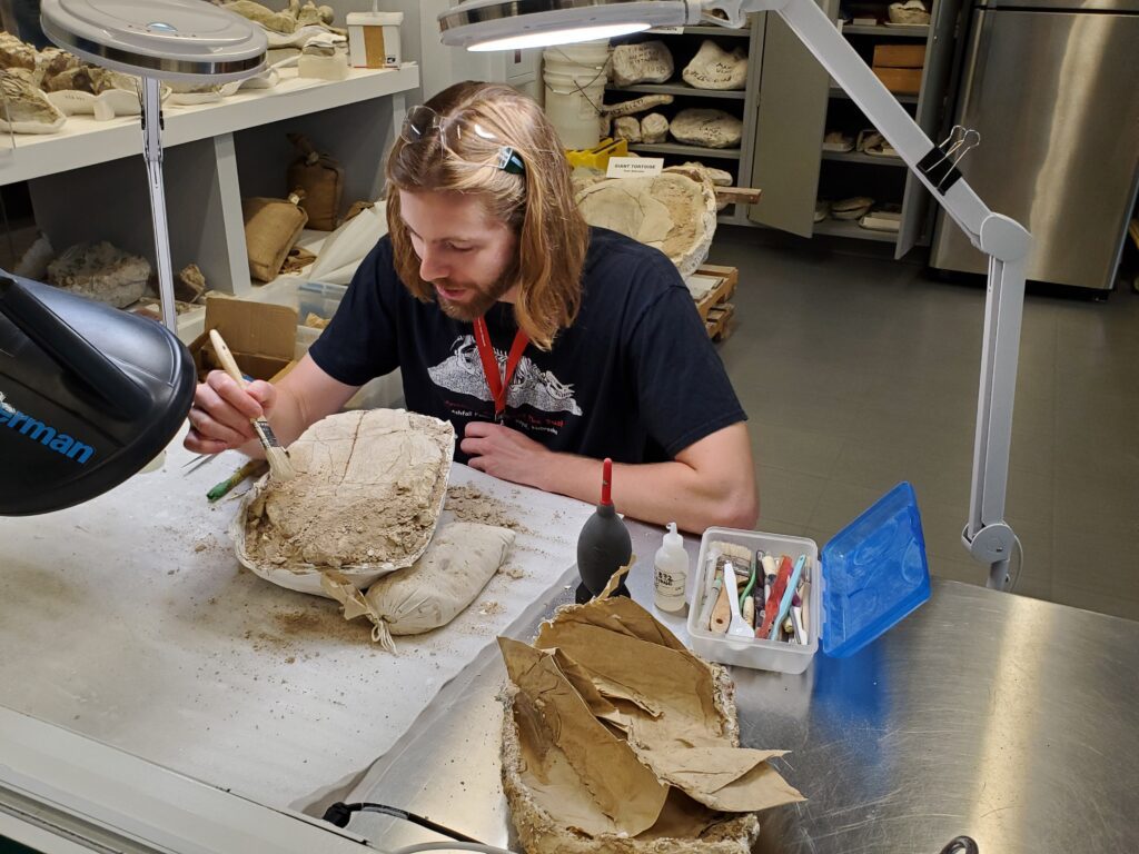 Student carefully dusting off a piece of dinosaur bone