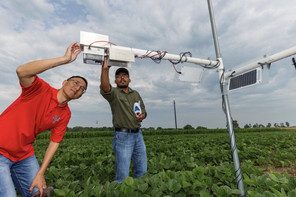 Yufeng Ge and Nipuna Chamara look over a plant remote sensor system being tested at the one-acre field phenotyping site at ENREC, near Mead, Nebraska.